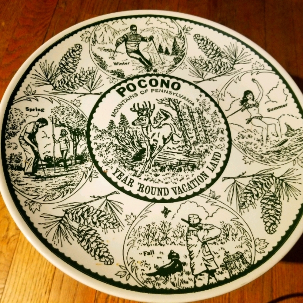 Poconos 11" plate